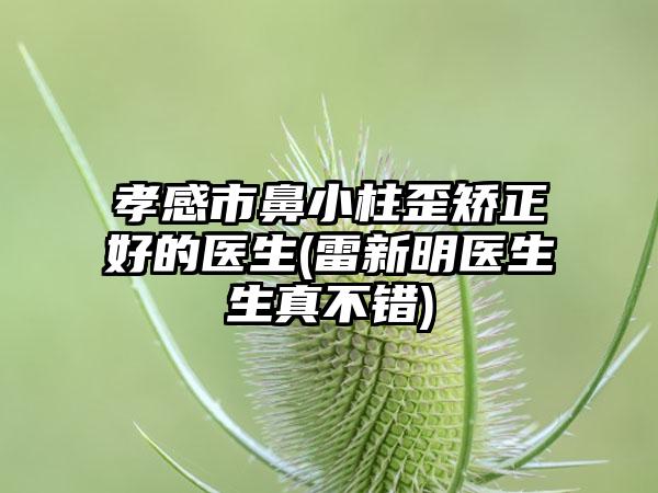 孝感市鼻小柱歪矫正好的医生(雷新明医生生真不错)