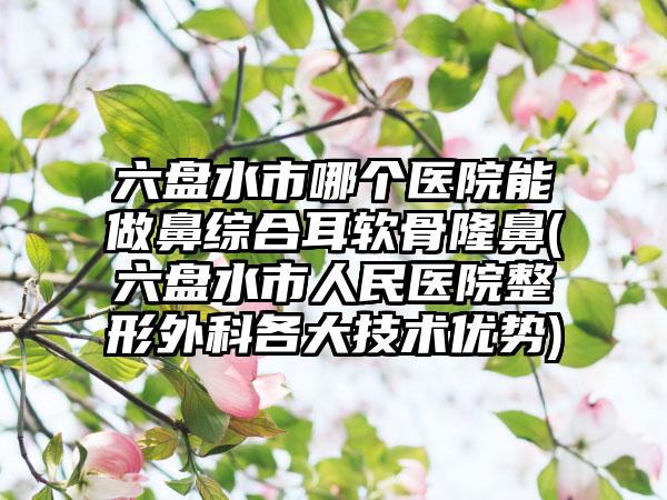 六盘水市哪个医院能做鼻综合耳软骨隆鼻(六盘水市人民医院整形外科各大技术优势)