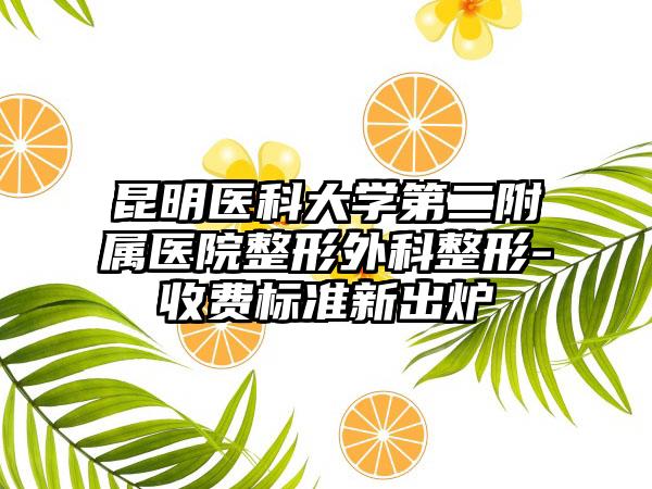 昆明医科大学第二附属医院整形外科整形-收费标准新出炉