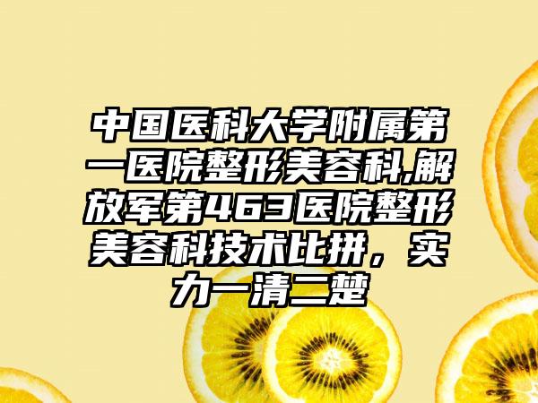 中国医科大学附属第一医院整形美容科,解放军第463医院整形美容科技术比拼，实力一清二楚
