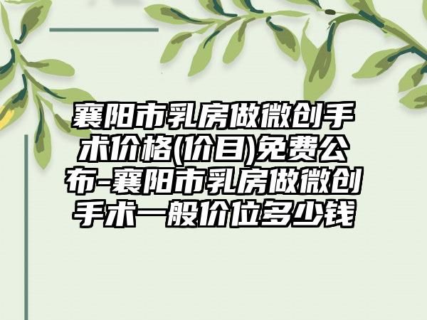 襄阳市乳房做微创手术价格(价目)免费公布-襄阳市乳房做微创手术一般价位多少钱