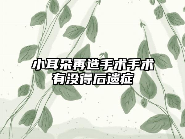 小耳朵再造手术手术有没得后遗症
