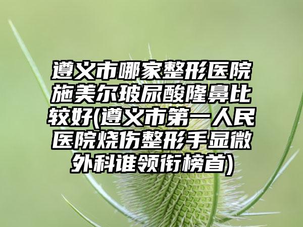 遵义市哪家整形医院施美尔玻尿酸隆鼻比较好(遵义市第一人民医院烧伤整形手显微外科谁领衔榜首)