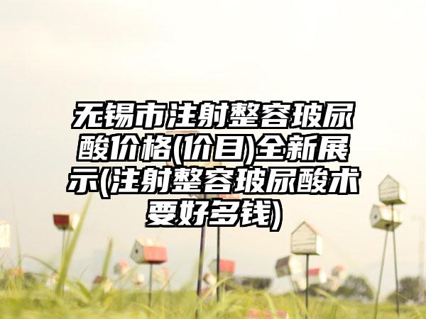 无锡市注射整容玻尿酸价格(价目)全新展示(注射整容玻尿酸术要好多钱)