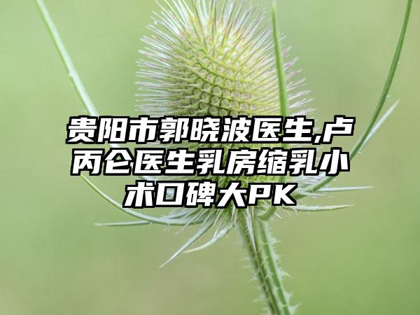 贵阳市郭晓波医生,卢丙仑医生乳房缩乳小术口碑大PK