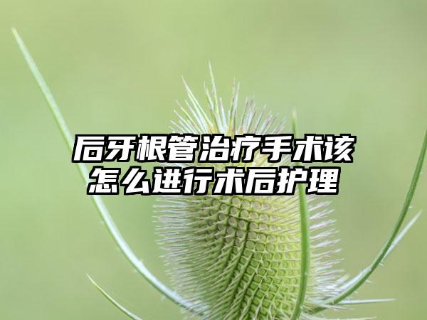 后牙根管治疗手术该怎么进行术后护理