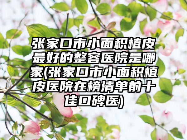 张家口市小面积植皮最好的整容医院是哪家(张家口市小面积植皮医院在榜清单前十佳口碑医)
