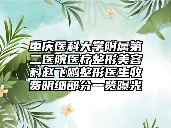 重庆医科大学附属第二医院医疗整形美容科赵飞鹏整形医生收费明细部分一览曝光