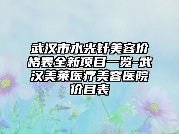 武汉市水光针美容价格表全新项目一览-武汉美莱医疗美容医院价目表