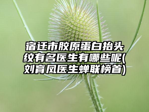 宿迁市胶原蛋白抬头纹有名医生有哪些呢(刘育凤医生蝉联榜首)
