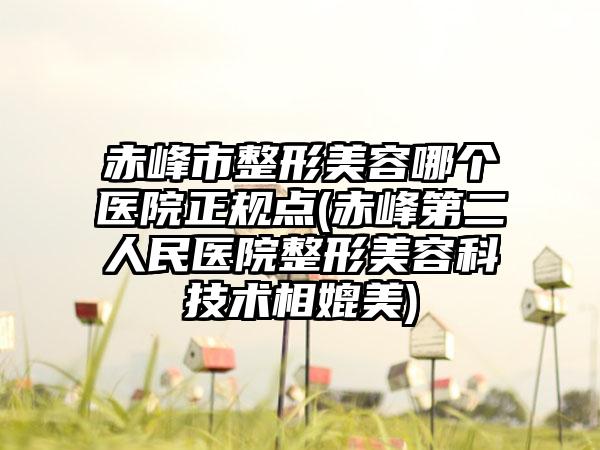 赤峰市整形美容哪个医院正规点(赤峰第二人民医院整形美容科技术相媲美)