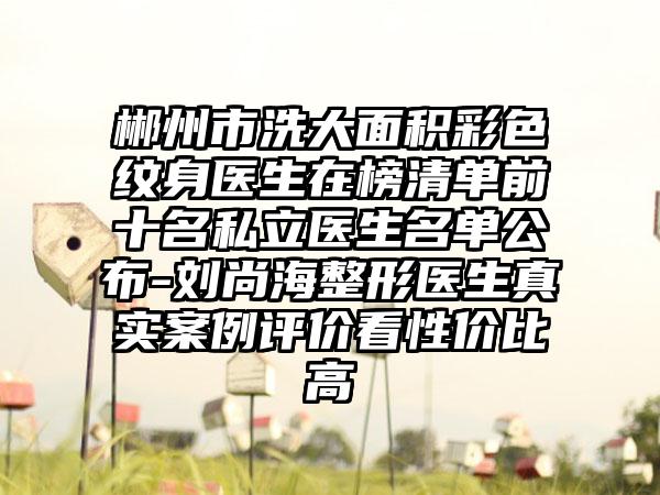 郴州市洗大面积彩色纹身医生在榜清单前十名私立医生名单公布-刘尚海整形医生真实案例评价看性价比高