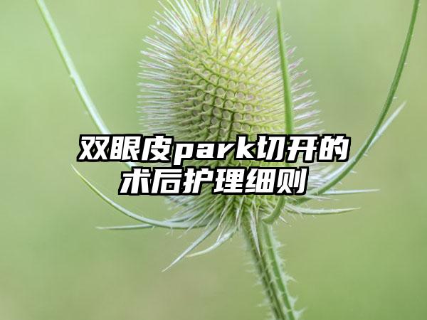 双眼皮park切开的术后护理细则