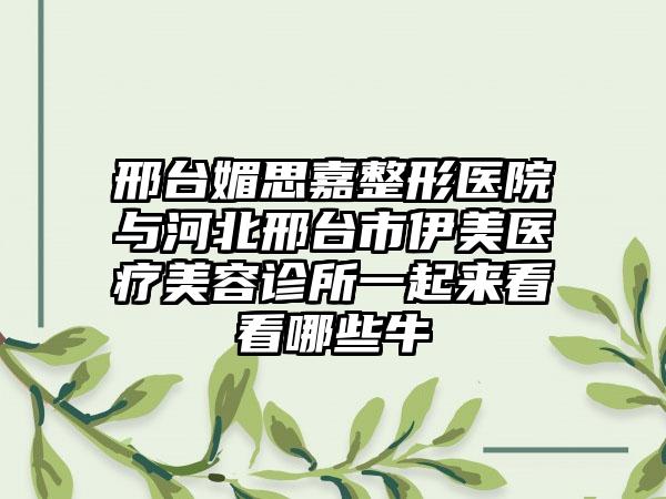 邢台媚思嘉整形医院与河北邢台市伊美医疗美容诊所一起来看看哪些牛