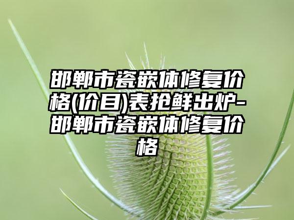 邯郸市瓷嵌体修复价格(价目)表抢鲜出炉-邯郸市瓷嵌体修复价格