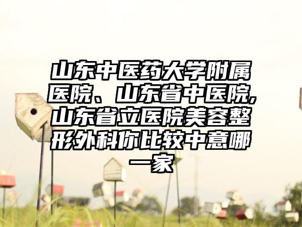 山东中医药大学附属医院、山东省中医院,山东省立医院美容整形外科你比较中意哪一家