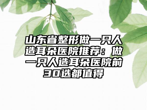 山东省整形做一只人造耳朵医院推荐：做一只人造耳朵医院前30选都值得