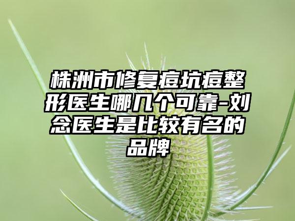 株洲市修复痘坑痘整形医生哪几个可靠-刘念医生是比较有名的品牌