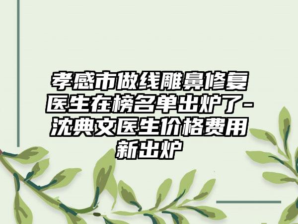 孝感市做线雕鼻修复医生在榜名单出炉了-沈典文医生价格费用新出炉