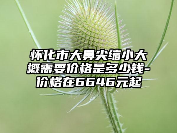 怀化市大鼻尖缩小大概需要价格是多少钱-价格在6646元起