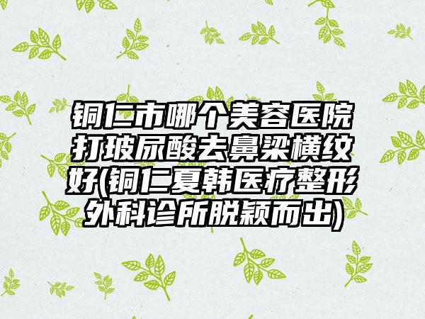 铜仁市哪个美容医院打玻尿酸去鼻梁横纹好(铜仁夏韩医疗整形外科诊所脱颖而出)