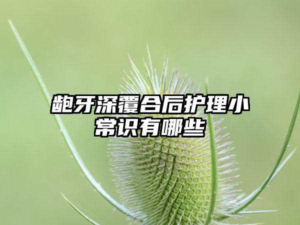 龅牙深覆合后护理小常识有哪些