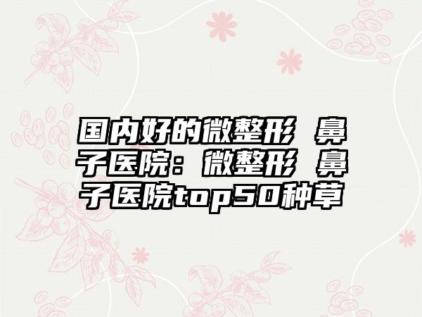 国内好的微整形 鼻子医院：微整形 鼻子医院top50种草