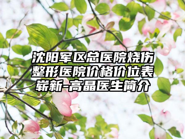 沈阳军区总医院烧伤整形医院价格价位表崭新-高晶医生简介