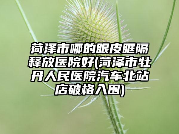 菏泽市哪的眼皮眶隔释放医院好(菏泽市牡丹人民医院汽车北站店破格入围)