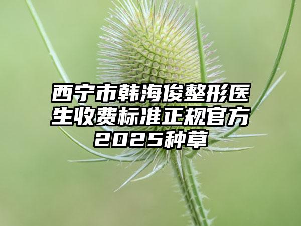 西宁市韩海俊整形医生收费标准正规官方2025种草
