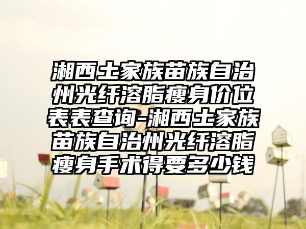湘西土家族苗族自治州光纤溶脂瘦身价位表表查询-湘西土家族苗族自治州光纤溶脂瘦身手术得要多少钱