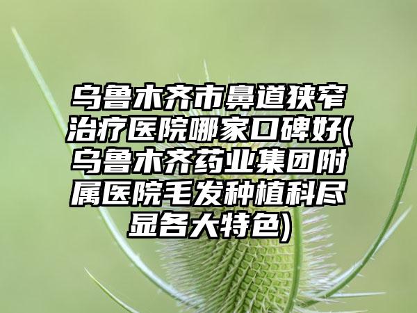 乌鲁木齐市鼻道狭窄治疗医院哪家口碑好(乌鲁木齐药业集团附属医院毛发种植科尽显各大特色)