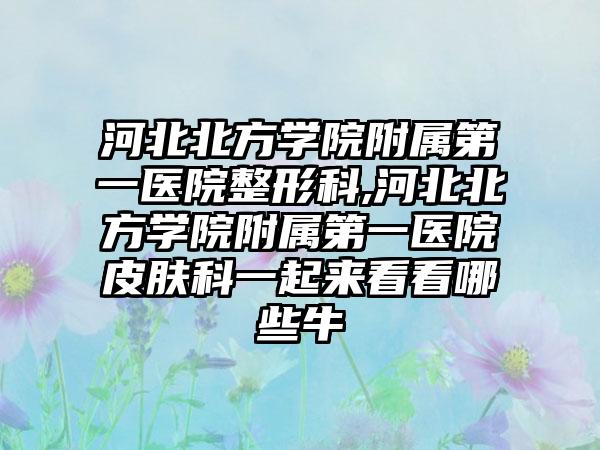 河北北方学院附属第一医院整形科,河北北方学院附属第一医院皮肤科一起来看看哪些牛