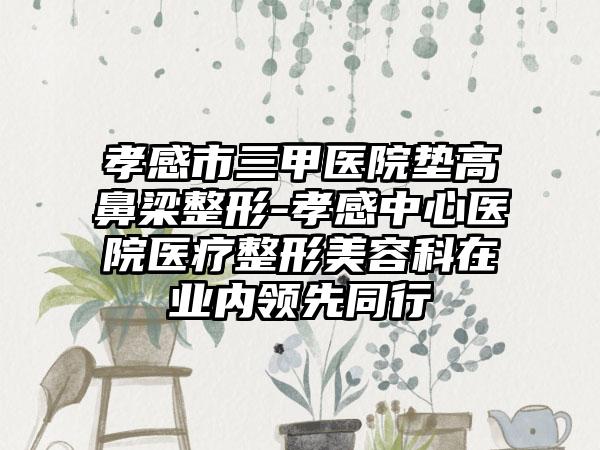 孝感市三甲医院垫高鼻梁整形-孝感中心医院医疗整形美容科在业内领先同行