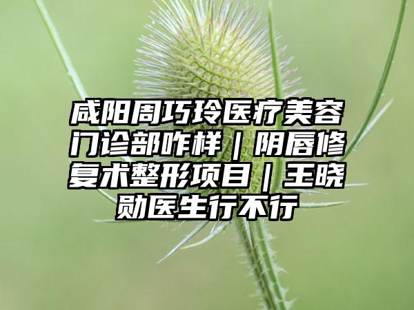 咸阳周巧玲医疗美容门诊部咋样｜阴唇修复术整形项目｜王晓勋医生行不行