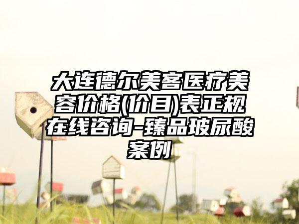 大连德尔美客医疗美容价格(价目)表正规在线咨询-臻品玻尿酸案例