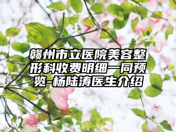 赣州市立医院美容整形科收费明细一同预览-杨陆涛医生介绍