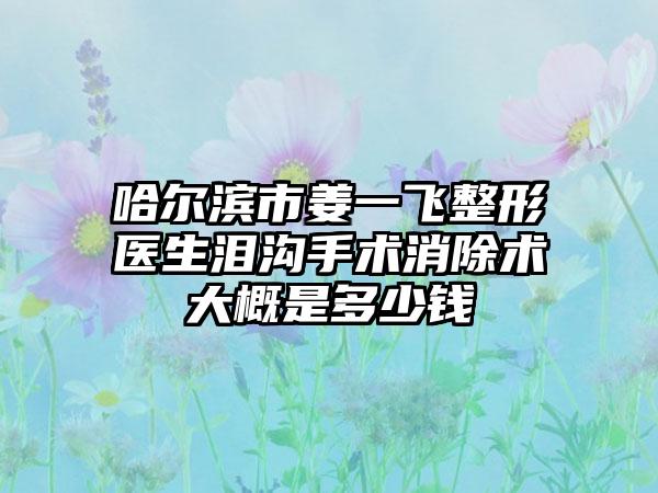 哈尔滨市姜一飞整形医生泪沟手术消除术大概是多少钱
