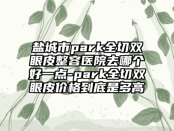 盐城市park全切双眼皮整容医院去哪个好一点-park全切双眼皮价格到底是多高