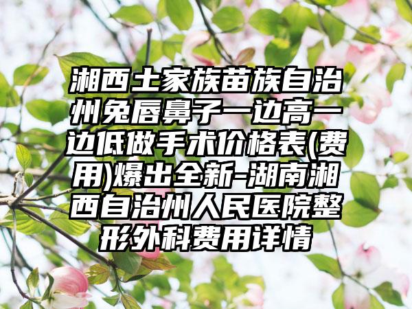 湘西土家族苗族自治州兔唇鼻子一边高一边低做手术价格表(费用)爆出全新-湖南湘西自治州人民医院整形外科费用详情