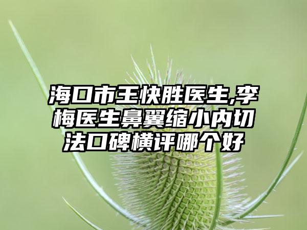 海口市王快胜医生,李梅医生鼻翼缩小内切法口碑横评哪个好