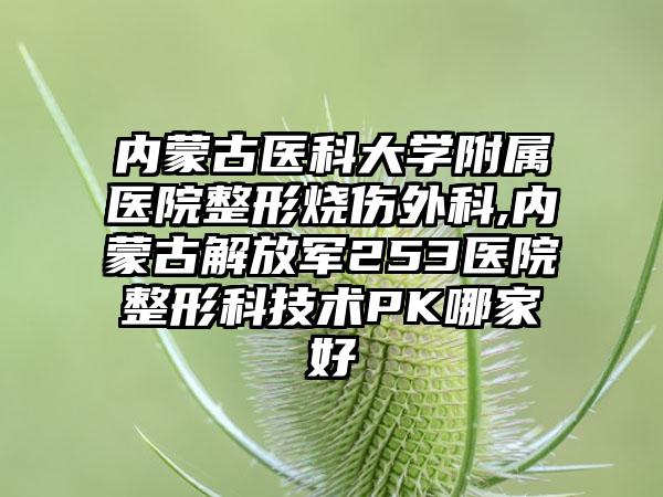 内蒙古医科大学附属医院整形烧伤外科,内蒙古解放军253医院整形科技术PK哪家好