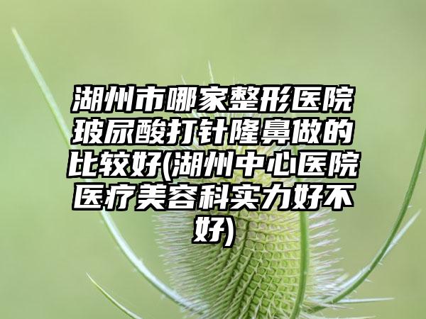 湖州市哪家整形医院玻尿酸打针隆鼻做的比较好(湖州中心医院医疗美容科实力好不好)