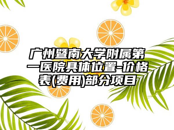 广州暨南大学附属第一医院具体位置-价格表(费用)部分项目