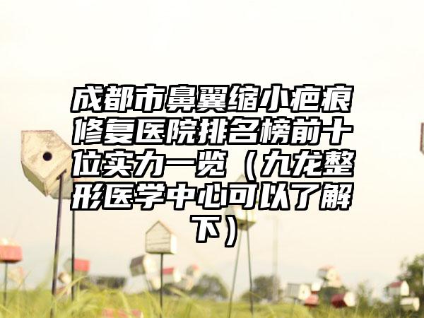 成都市鼻翼缩小疤痕修复医院排名榜前十位实力一览（九龙整形医学中心可以了解下）