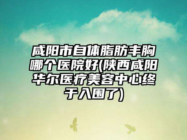 咸阳市自体脂肪丰胸哪个医院好(陕西咸阳华尔医疗美容中心终于入围了)