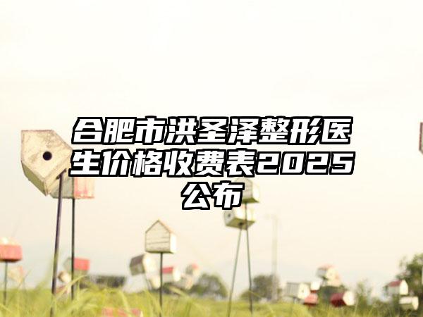 合肥市洪圣泽整形医生价格收费表2025公布