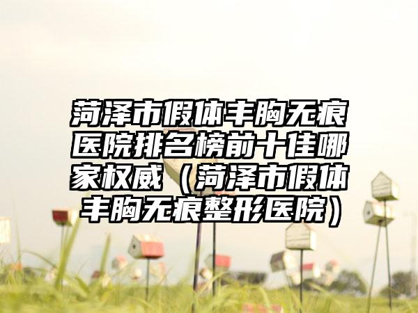 菏泽市假体丰胸无痕医院排名榜前十佳哪家权威（菏泽市假体丰胸无痕整形医院）