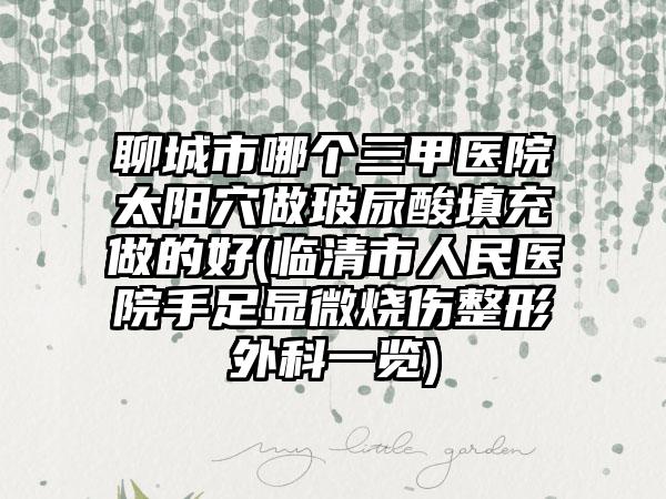 聊城市哪个三甲医院太阳穴做玻尿酸填充做的好(临清市人民医院手足显微烧伤整形外科一览)