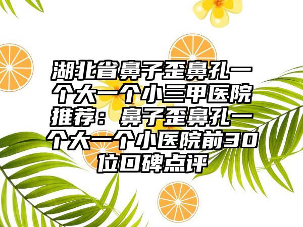 湖北省鼻子歪鼻孔一个大一个小三甲医院推荐：鼻子歪鼻孔一个大一个小医院前30位口碑点评